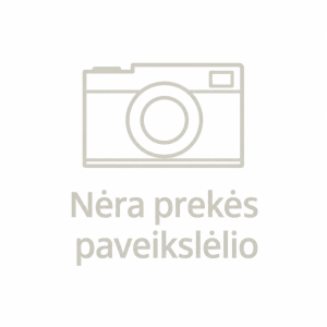 Oro žarnos lizdas